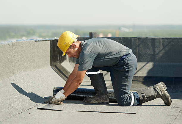 Best Commercial Insulation in East Sonora, CA